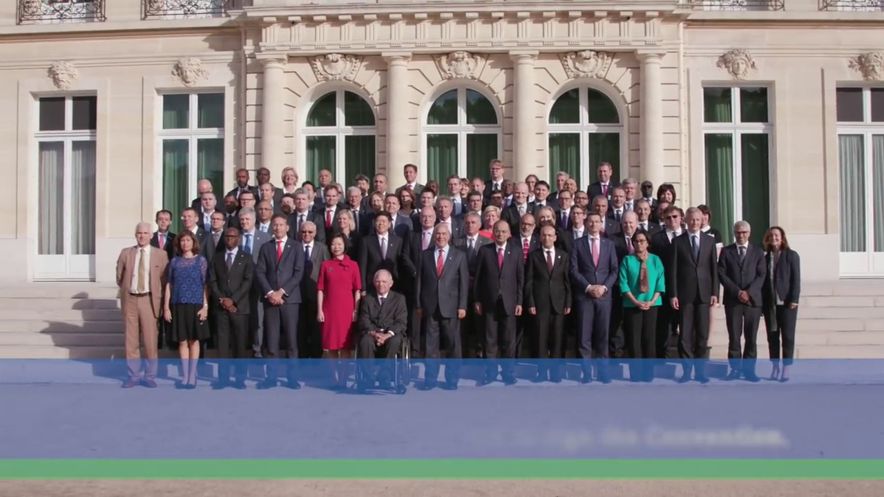 OECD BEPS Video